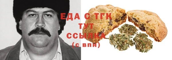 метамфетамин Ельня