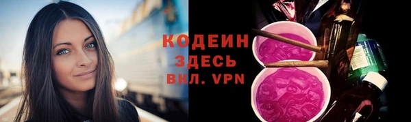 стаф Дмитров