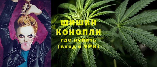 дурь Елабуга
