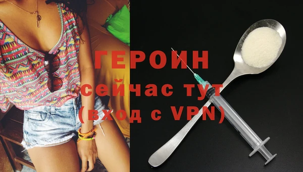 стаф Дмитров