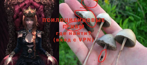 стаф Дмитров