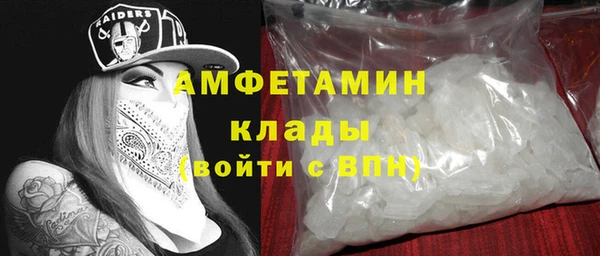 стаф Дмитров