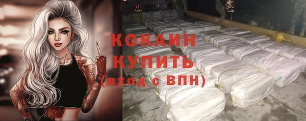 метамфетамин Ельня