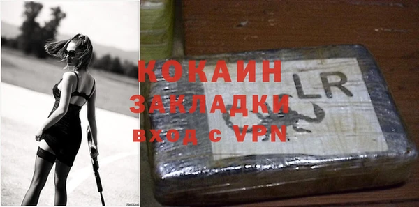 стаф Дмитров